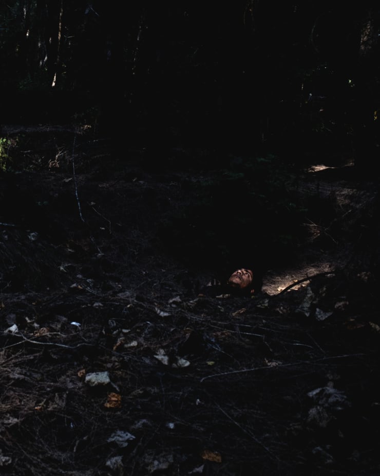 Soumya Sankar Bose, Where the Birds Never Sing, 2017-2020