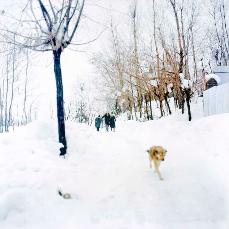 Sohrab Hura, Snow, 2015-2019