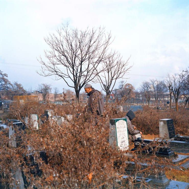 Sohrab Hura, Snow, 2015-2019