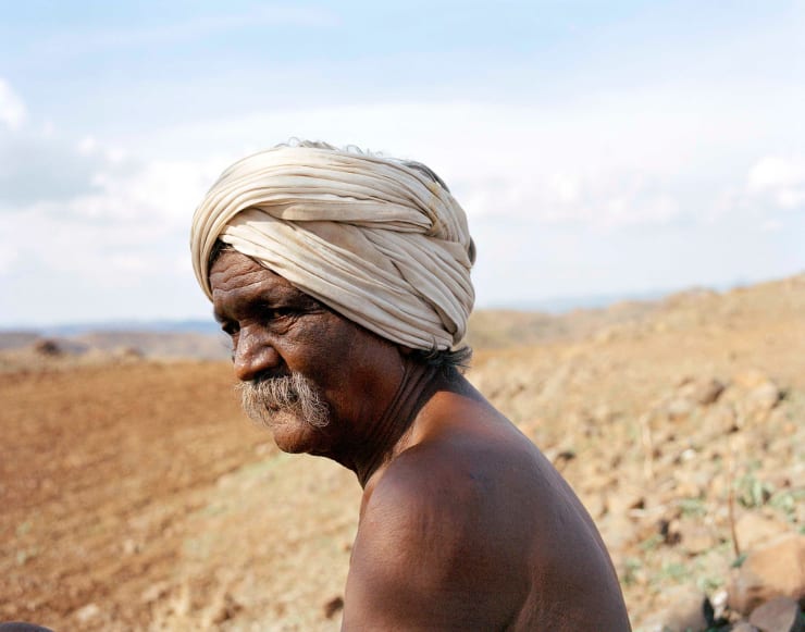 Sohrab Hura, The Song of Sparrows in a Hundred Days of Summer, 2013-2017