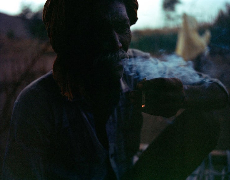 Sohrab Hura, The Song of Sparrows in a Hundred Days of Summer, 2013-2017