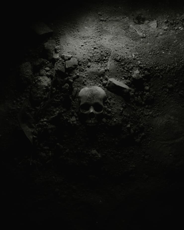 Soumya Sankar Bose, Where the Birds Never Sing, 2017-2020