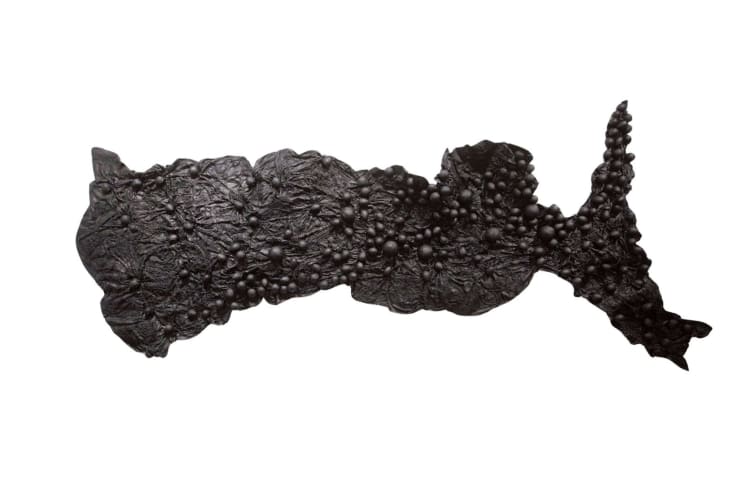 Pushpakanthan Pakkiyarajah, Charred hyphal mat, 2024-2025