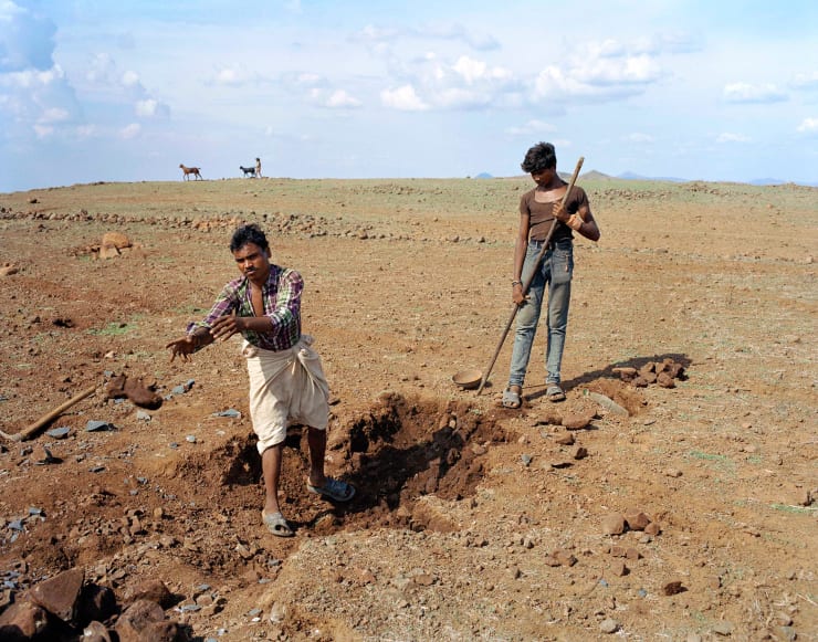 Sohrab Hura, The Song of Sparrows in a Hundred Days of Summer, 2013-2017