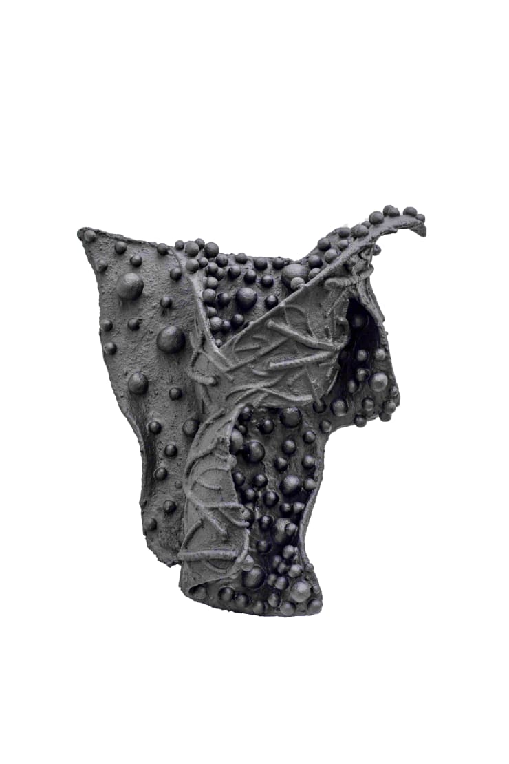 Pushpakanthan Pakkiyarajah, Wounded flowers, 2024-2025