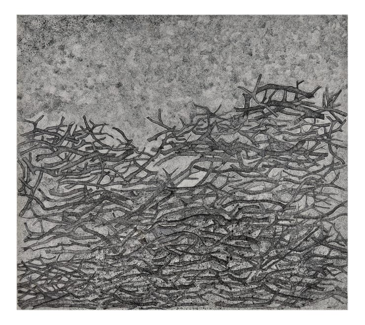 Adip Dutta, Backdrop III, 2016-17