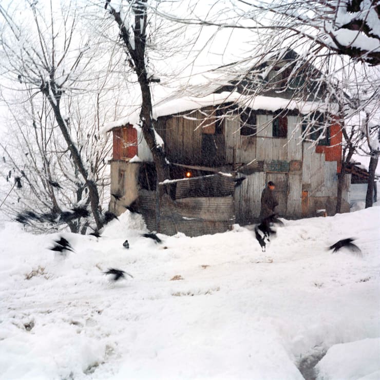 Sohrab Hura, Snow, 2015-2019