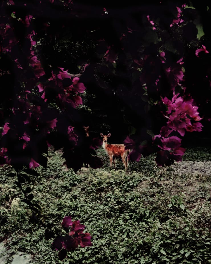 Soumya Sankar Bose, Full Moon on a Dark Night, 2015 - Ongoing