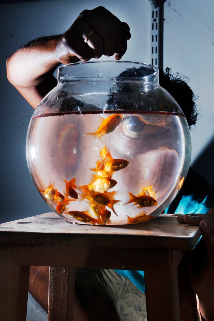 Sohrab Hura, The Coast, 2013-2019