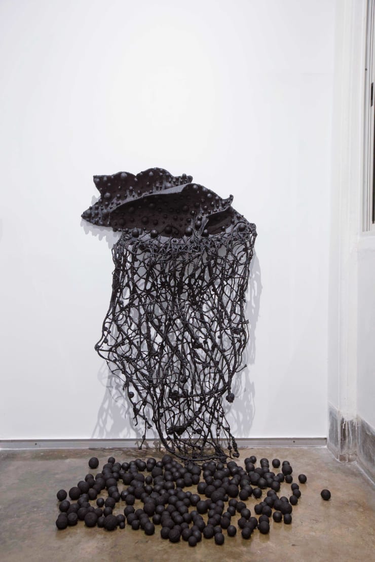 Pushpakanthan Pakkiyarajah, Wounded flowers, 2024-2025