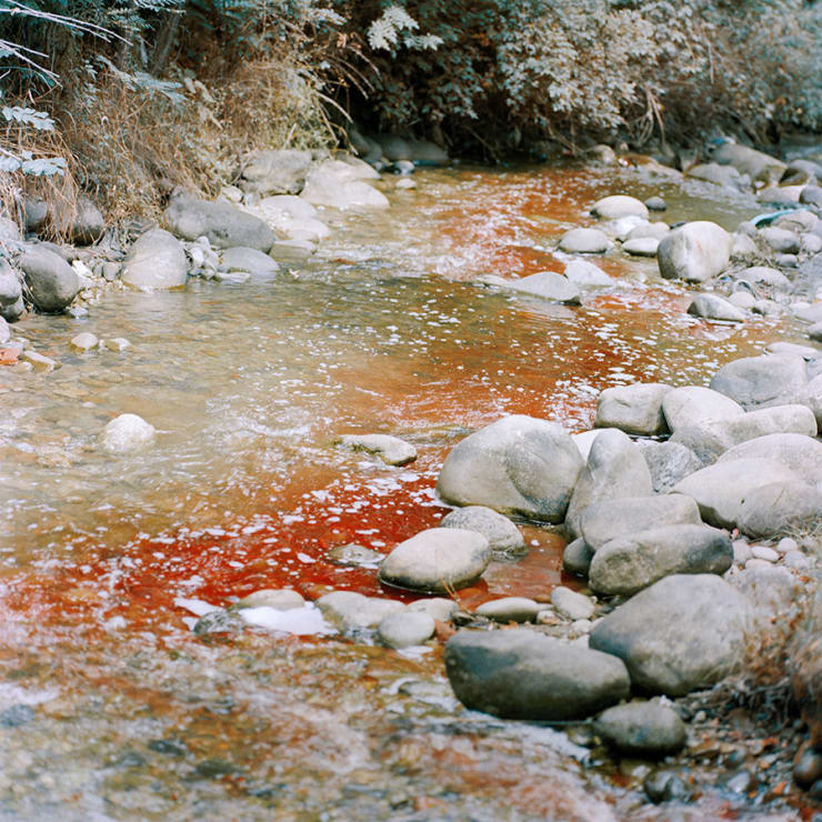 Sohrab Hura, Snow, 2015-2019