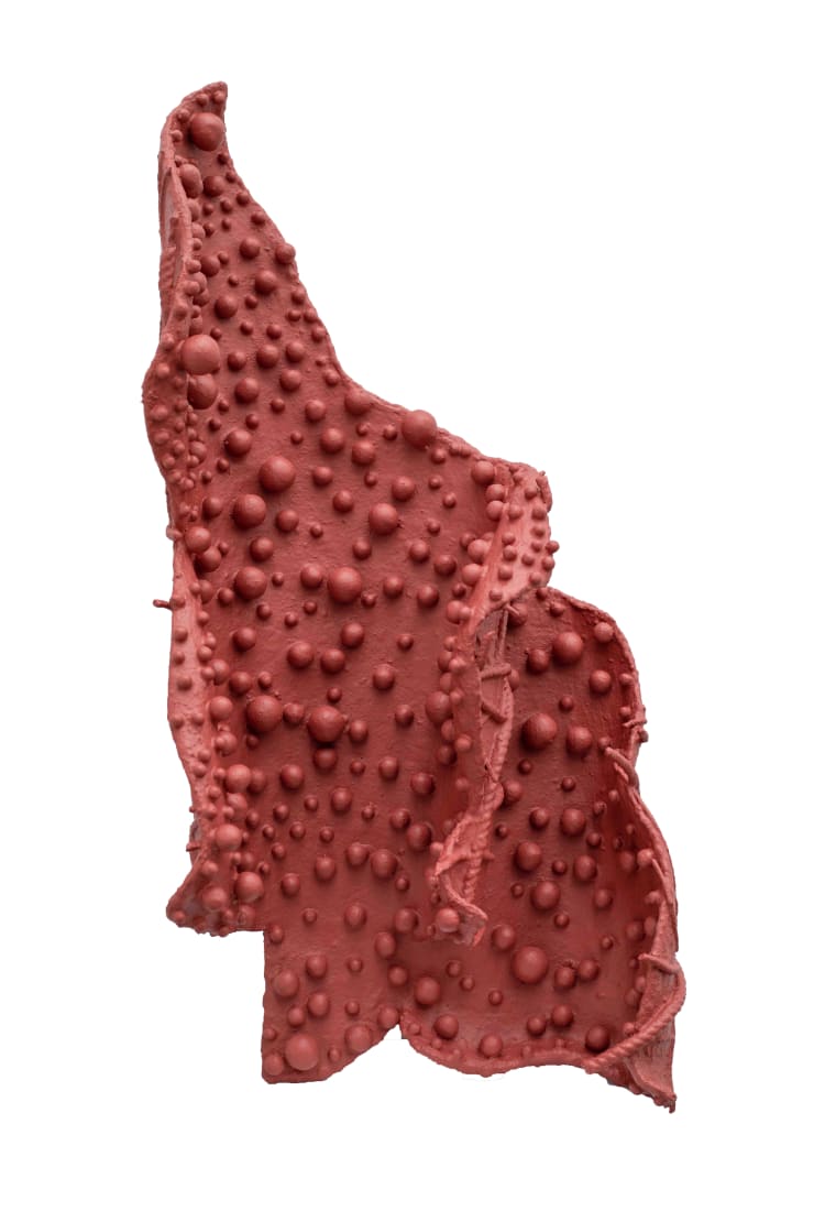 Pushpakanthan Pakkiyarajah, Wounded flowers, 2024-2025