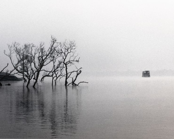 Soumya Sankar Bose, Where the Birds Never Sing, 2017-2020