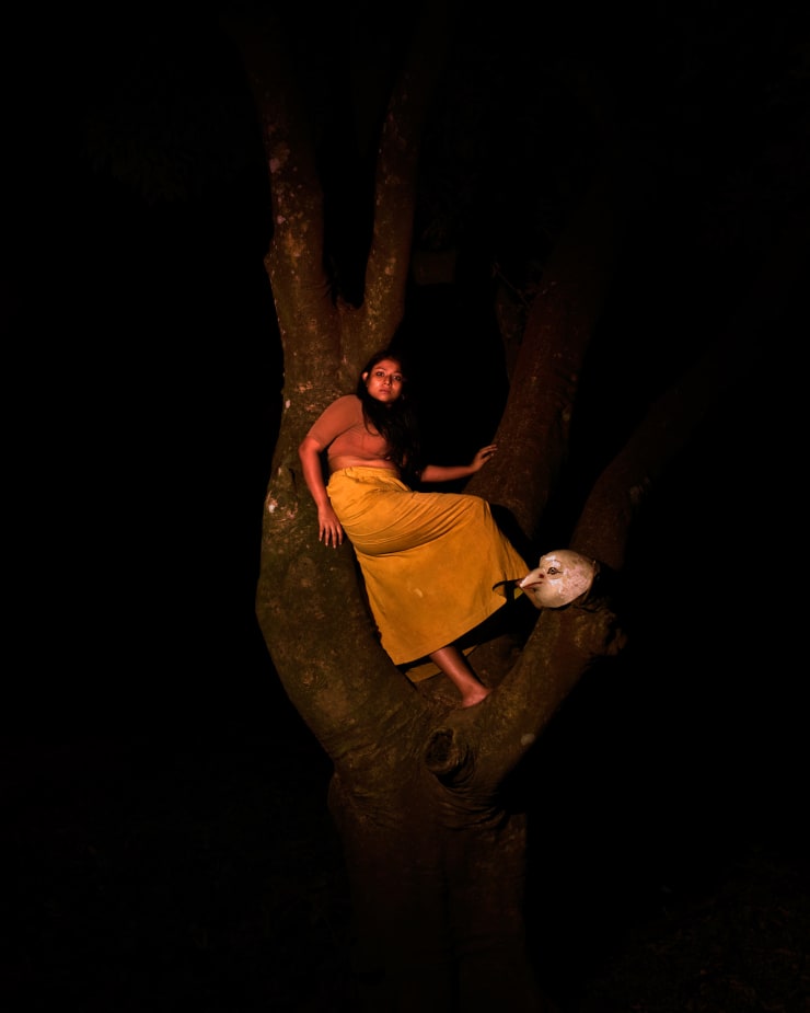 Soumya Sankar Bose, Where the Birds Never Sing, 2017-2020