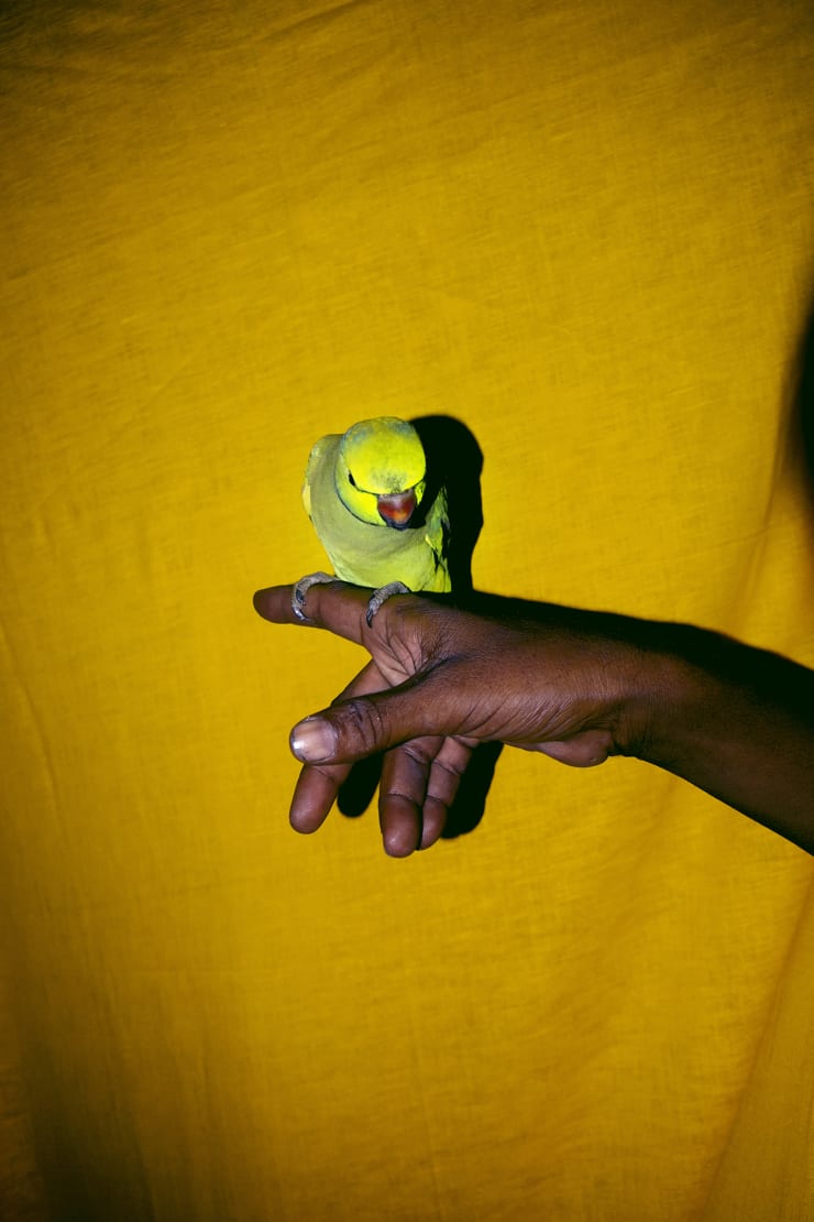 Sohrab Hura, The Coast, 2013-2019