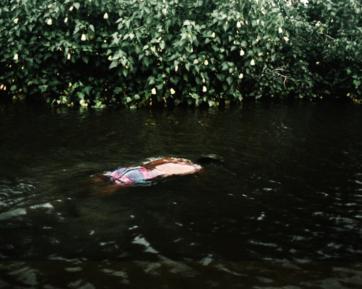 Soumya Sankar Bose, Where the Birds Never Sing, 2017-2020