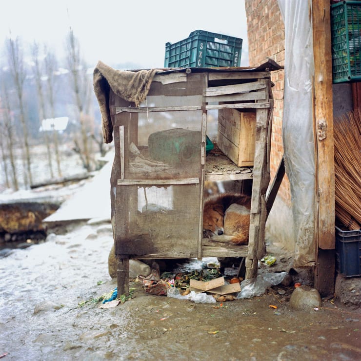 Sohrab Hura, Snow, 2015-2019