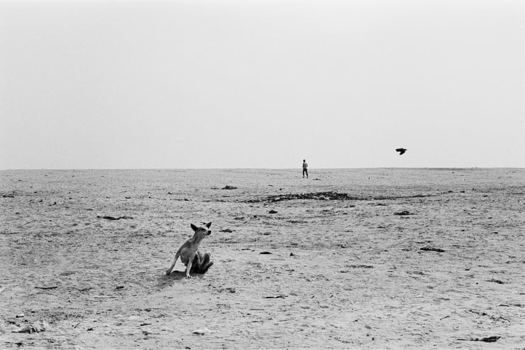 Sohrab Hura, River, 2005