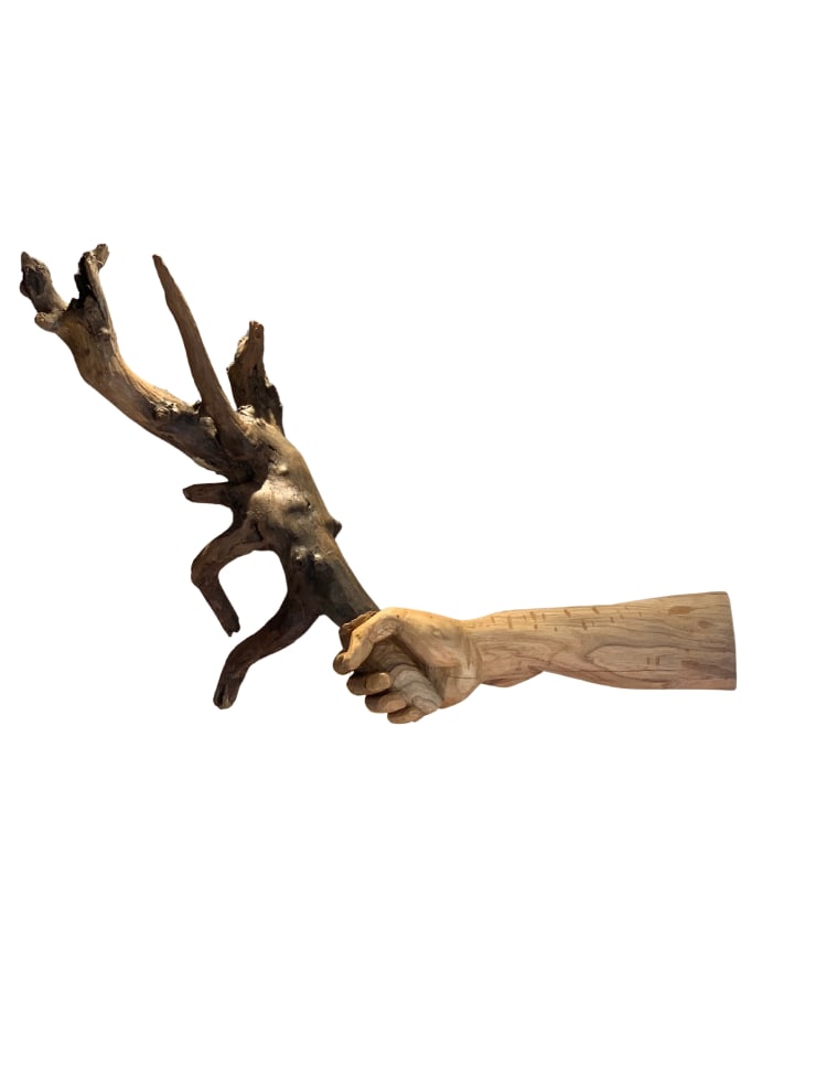 Prabhakar Pachpute, A flame of the forest (A series of an observer), 2025