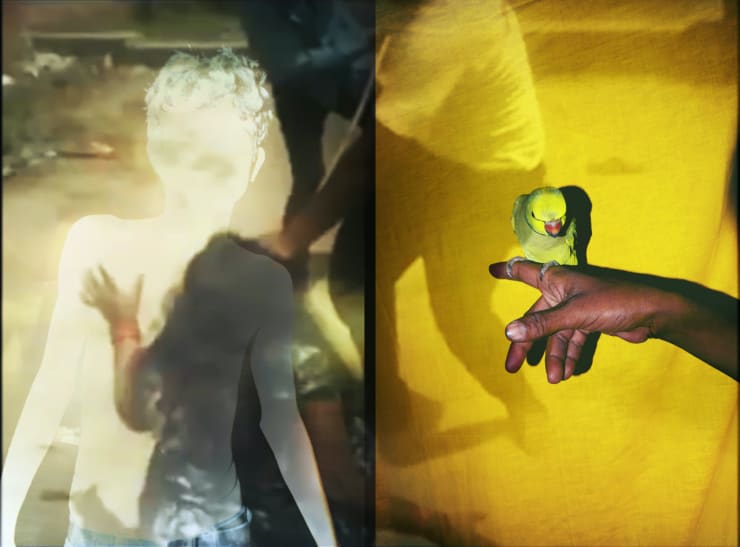 Sohrab Hura, The Lost Head & The Bird, 2016-2019