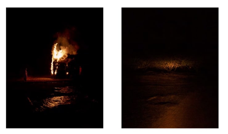 Soumya Sankar Bose, Where the Birds Never Sing, 2017-2020