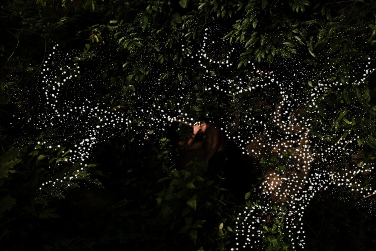 Soumya Sankar Bose, A Discreet Exit Through Darkness, 2020 - Ongoing