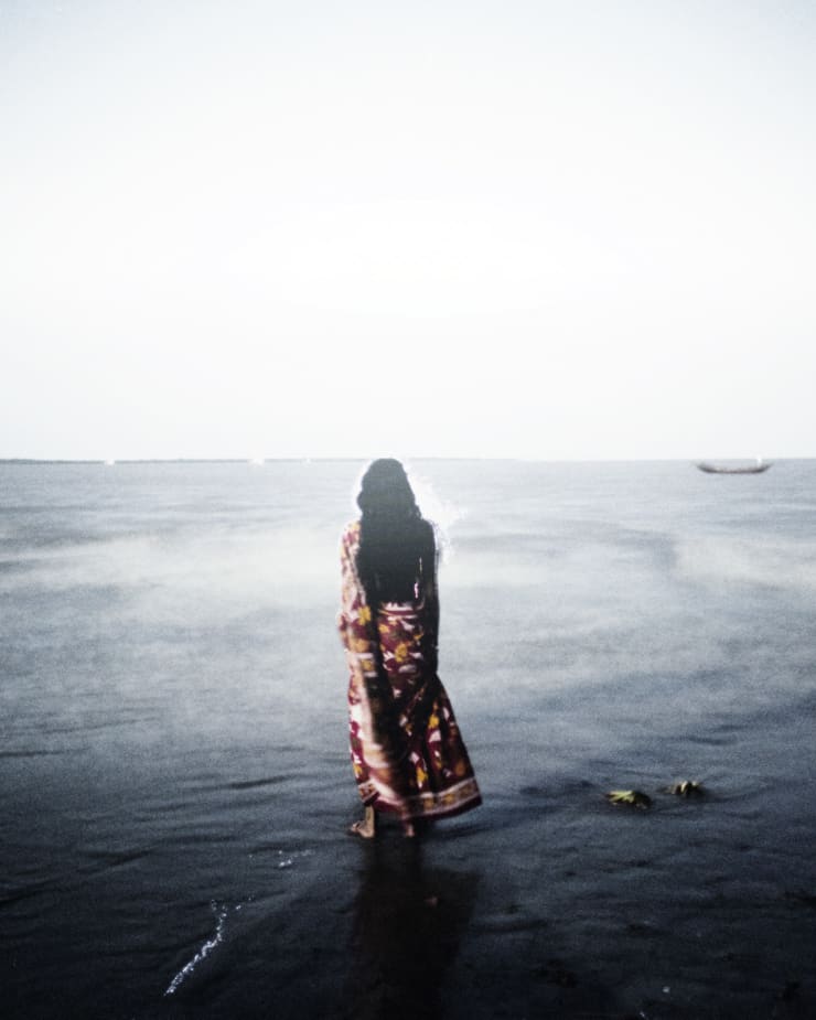 Soumya Sankar Bose, Where the Birds Never Sing, 2017-2020