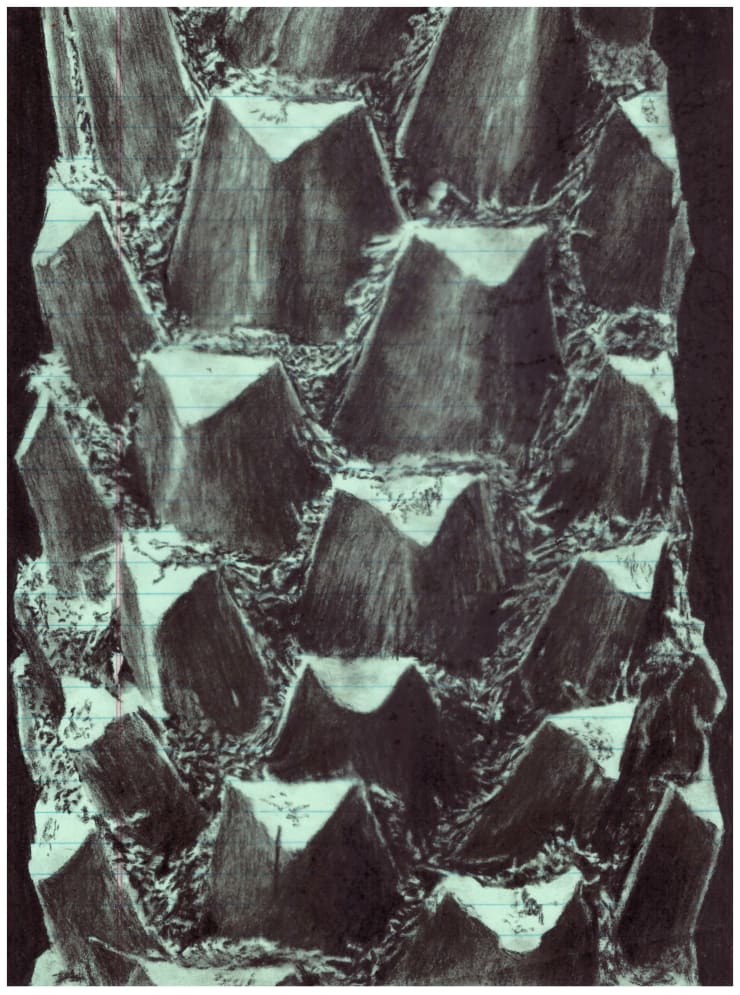 Julien Segard, Dialogues intérieurs à la périphérie XXX, 2025