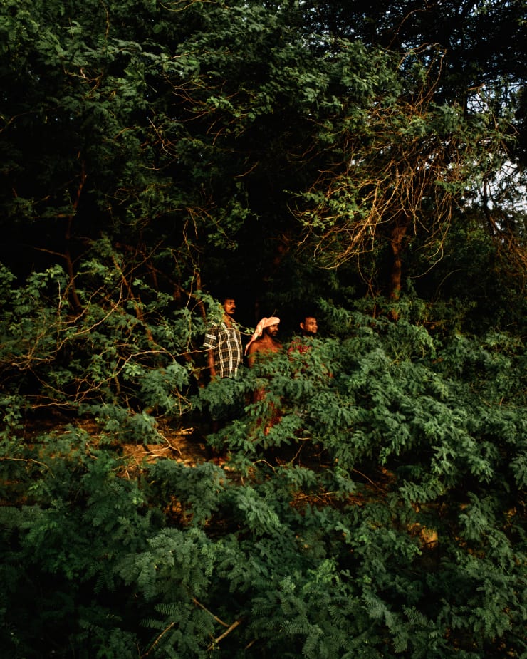 Soumya Sankar Bose, Where the Birds Never Sing, 2017-2020