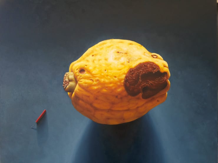 Othman Moussa, Quince, 2017