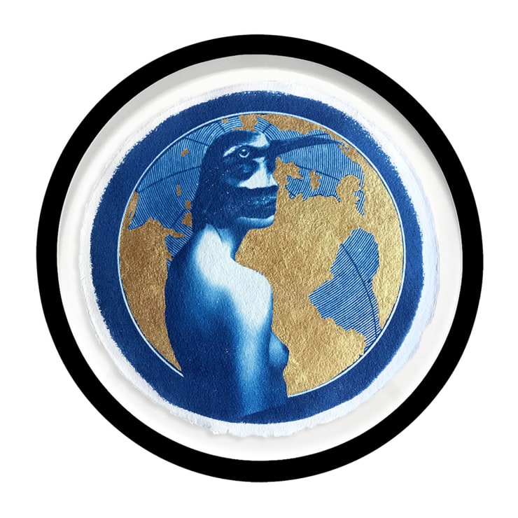 Chloe McCarrick, Convergent Camouflage, 2020