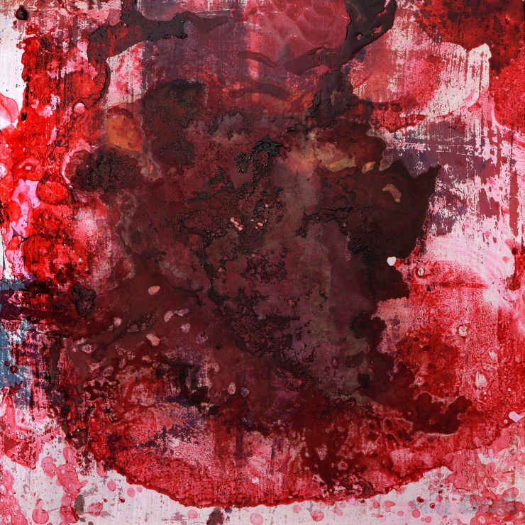 Alice Cescatti, Nameless