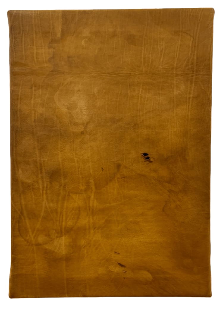 Quay Quinn Wolf, Untitled, 2022