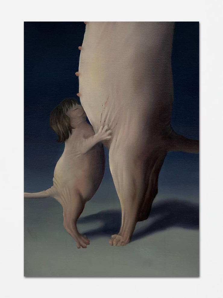 Rei Xiao, Biscuits, biscuits, 2025