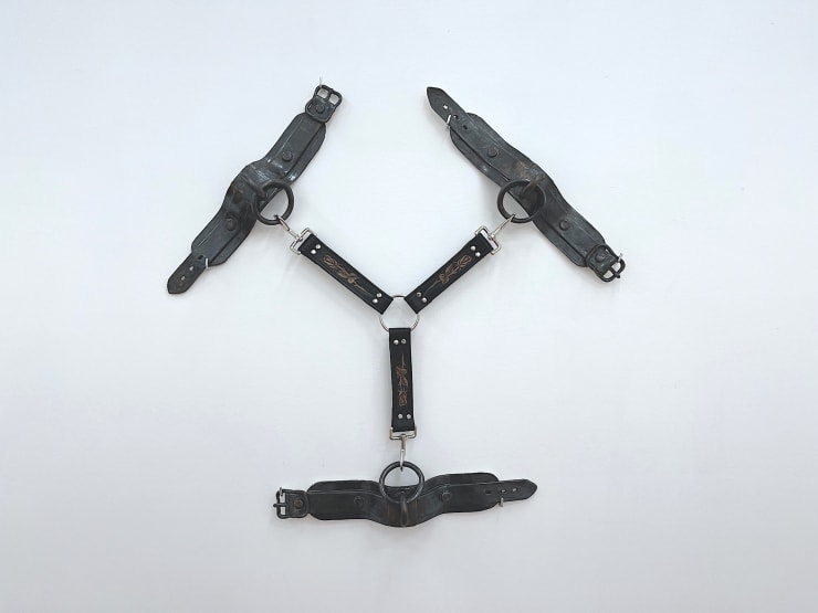 Tamara Santibañez, Cluster, 2023