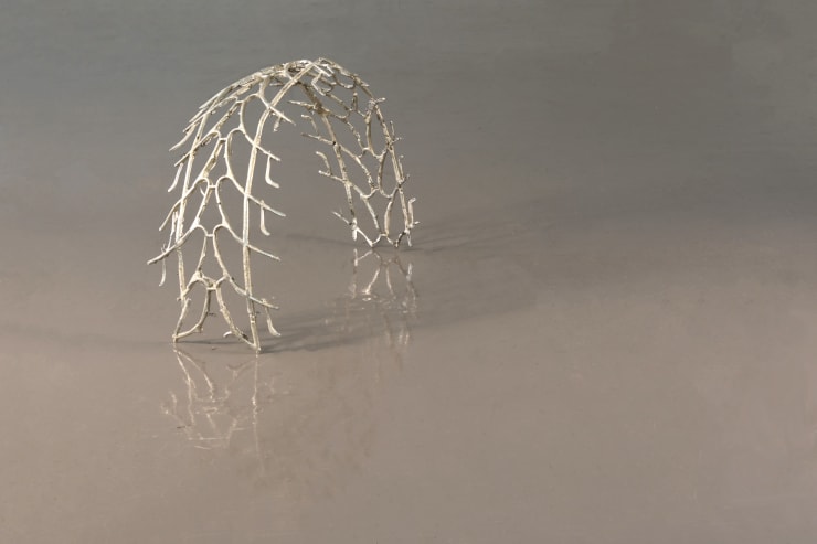 Michelle S. Cho, Wimperg, 2022