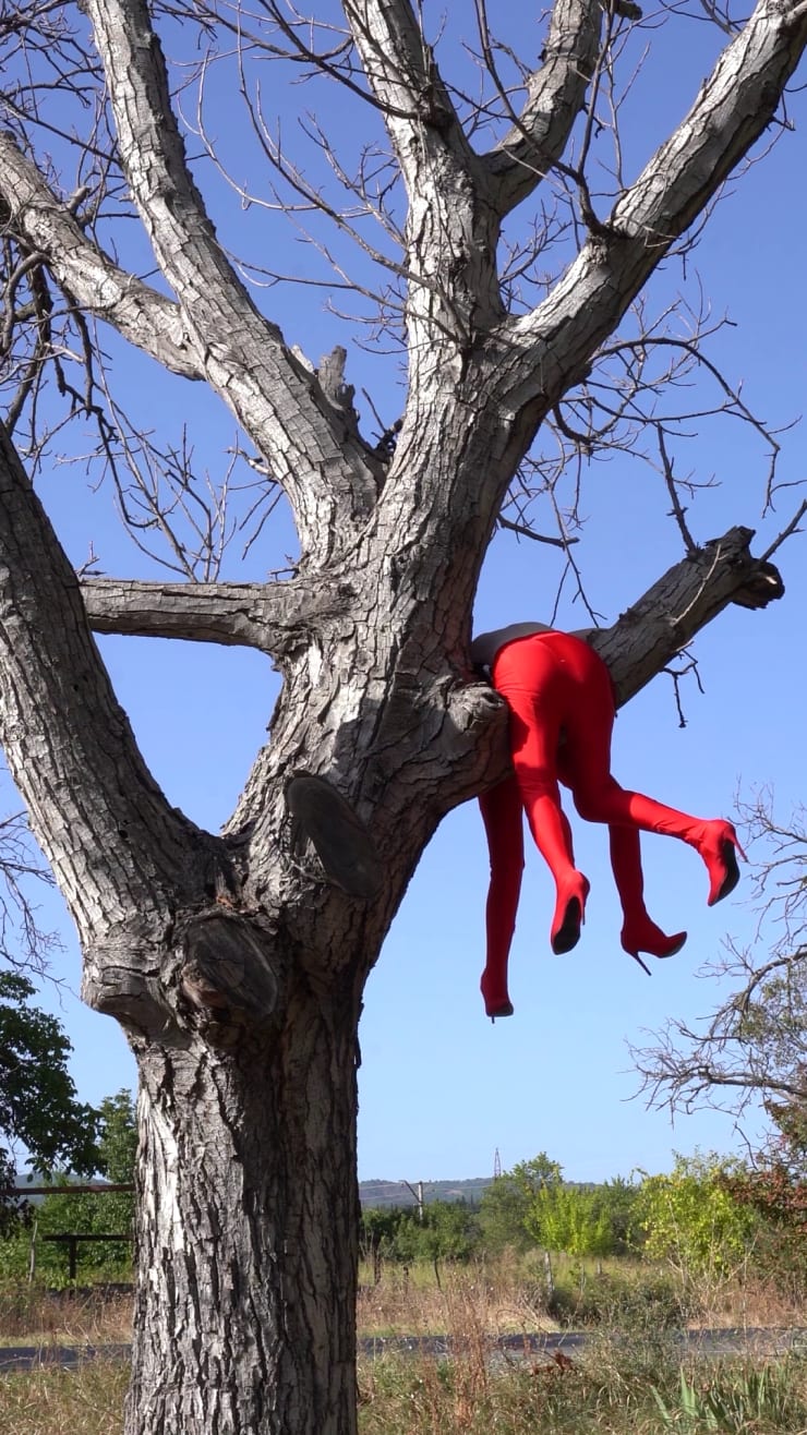 DAGNINI, I DECIDED TO MULTIPLY, 2023