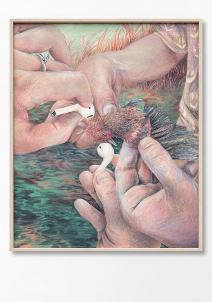 Jimmy Beauquesne, Untitled, 2024