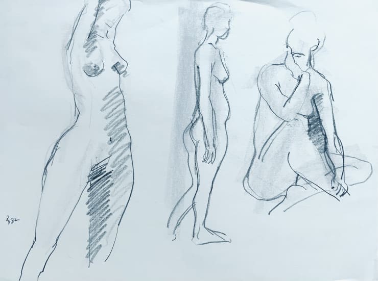 Freeman W. Butts Charcoal Line Drawings, 1982 Charcoal and pastel on paper 18 x 24 inches Signed lower left
