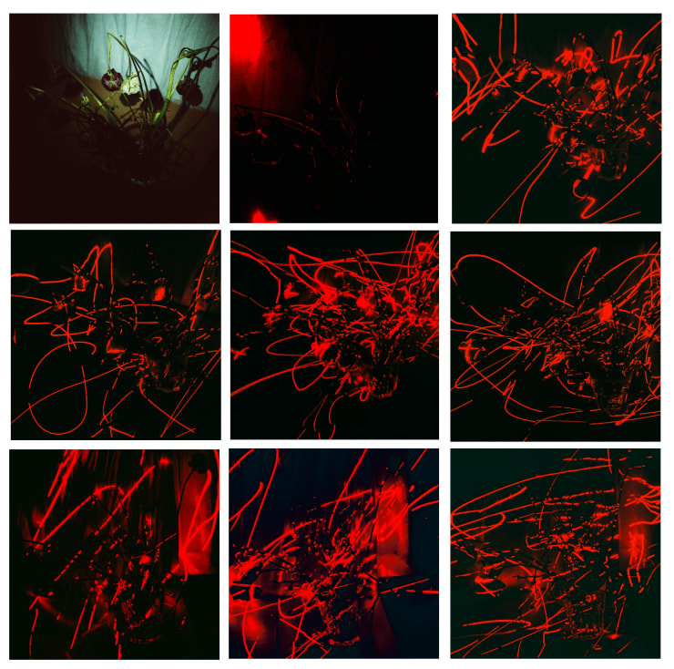 Philip Groening Flowers - Laser Drawing Upon Reality, 2021 Tricoia, HDF, print on acrylic glass, LEDs (Polyptych - 9 Pieces) 73 x 73 x 3 ½ in 186 x 186 x 9.5 cm (24 ½ x 24 ½ x 3 ½ in / 62 x 62 x 9.5 cm each) Edition 2 of 5 + AP