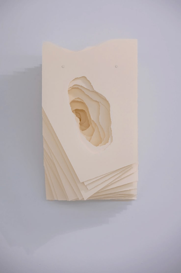 Terforation 2023-021