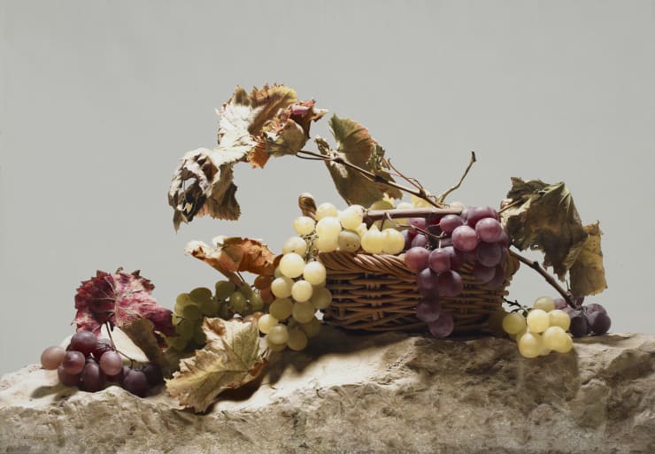 Vendemmia