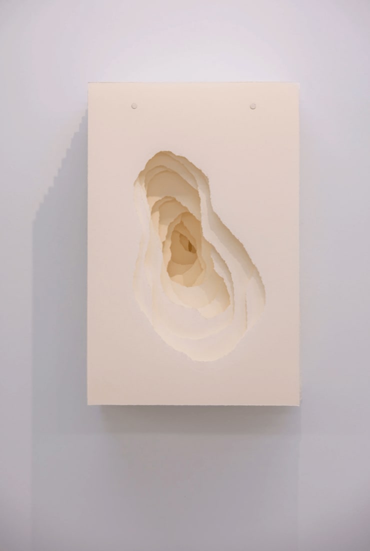 Terforation 2023-019