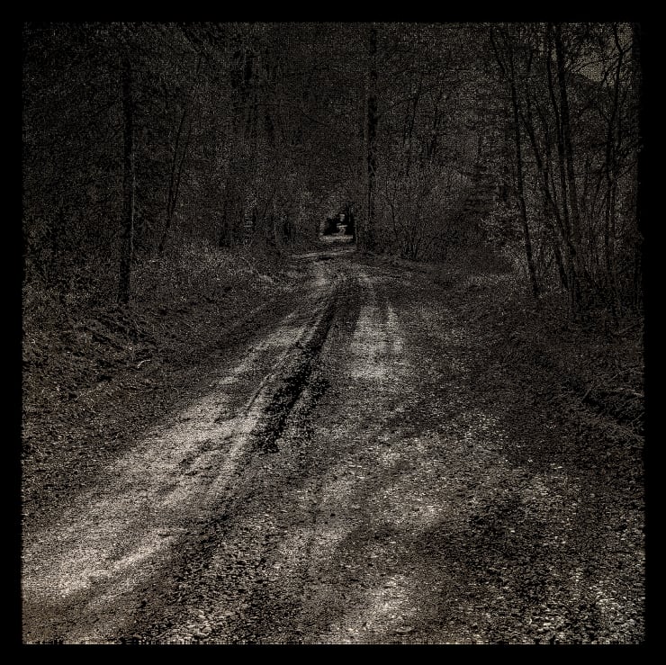 Emptiness - Forest Path 05