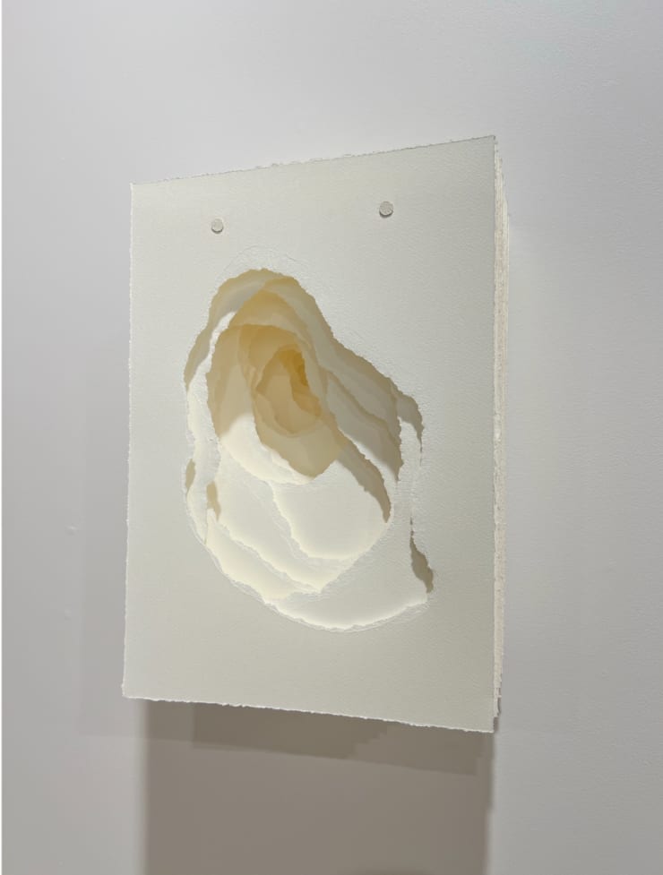 2025-045 Terforation