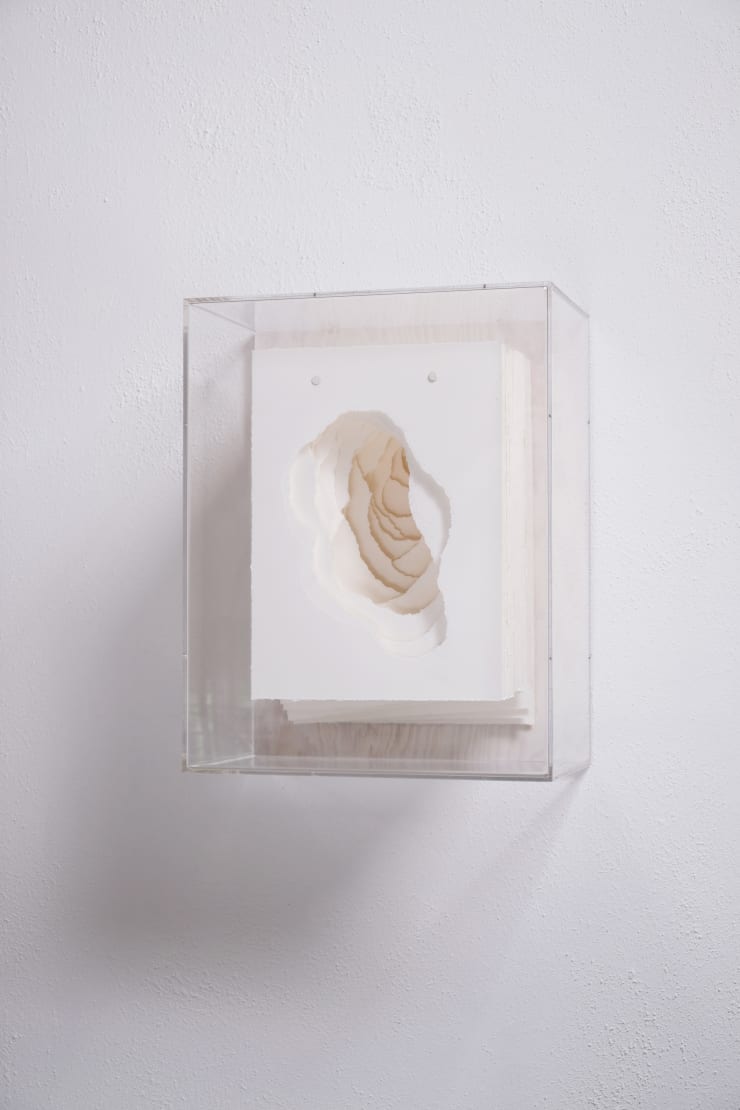 Angela Glajcar, Terforation 2022-059, 2022