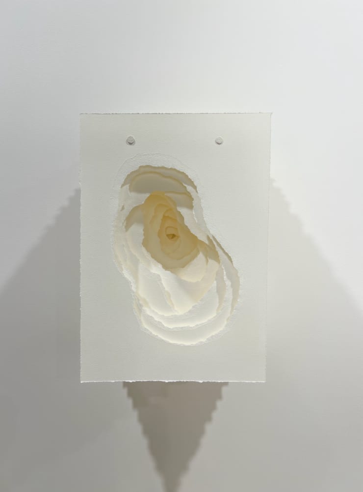 2025-046 Terforation