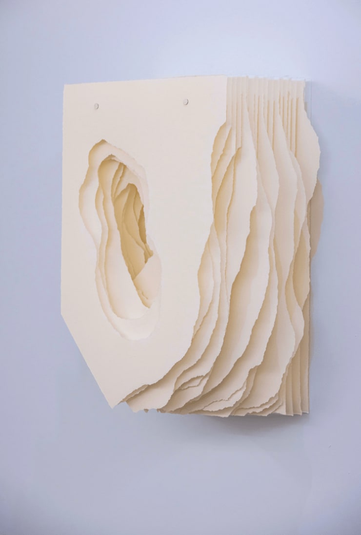 Terforation 2023-020