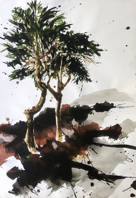 Juan Pedro Ayala, Árbol #30, 2006