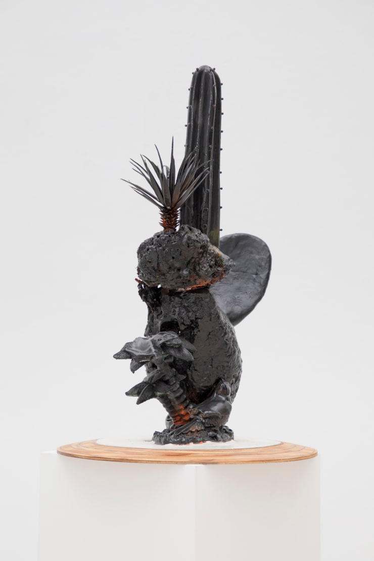 Nicolás Laiz Placeres, Flora. Cactus negro., 2015